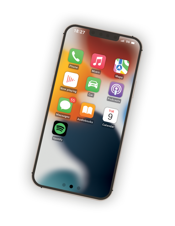 NAVITEL DS810-1